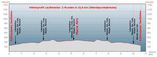 5th International Triathlon in Saalfelden - profil staze za tranje